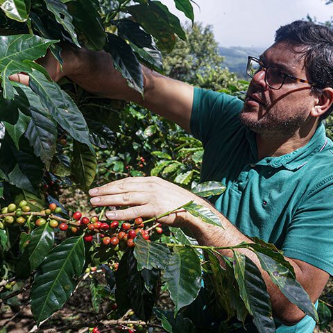 Familia Madriz Salas