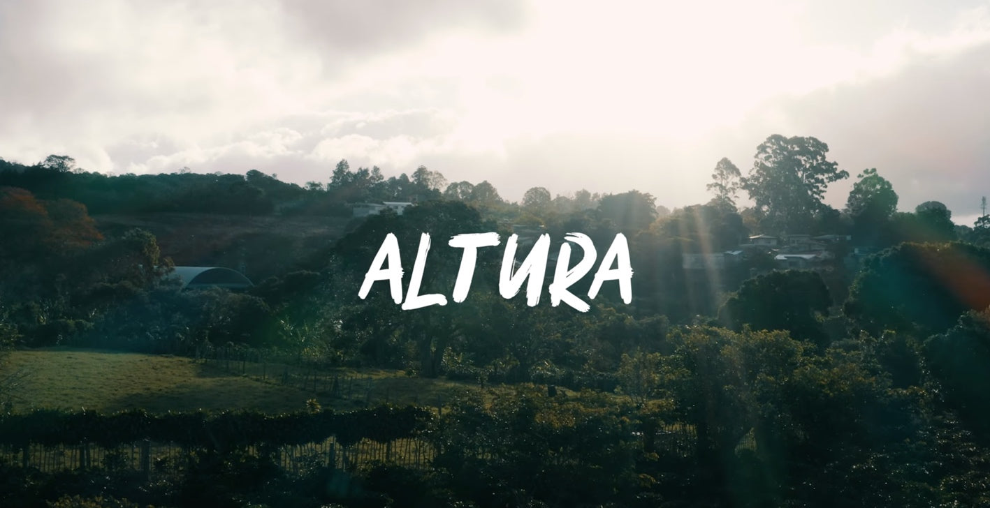ALTURA - Un documentaire qui va à la rencontre des producteurs de café de spécialité du Costa Rica.