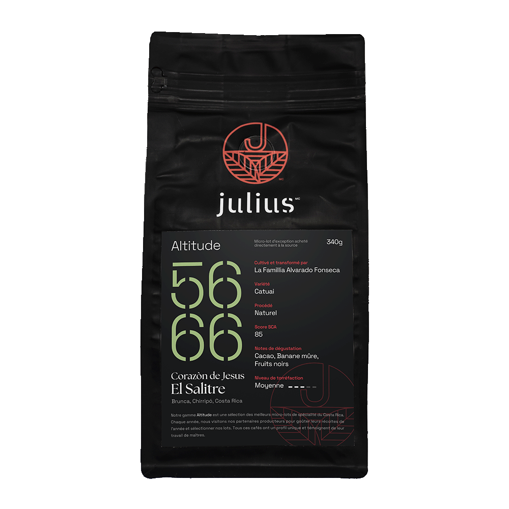 Café de spécialité - Alt. 5666-Naturel - Corazón de Jesus